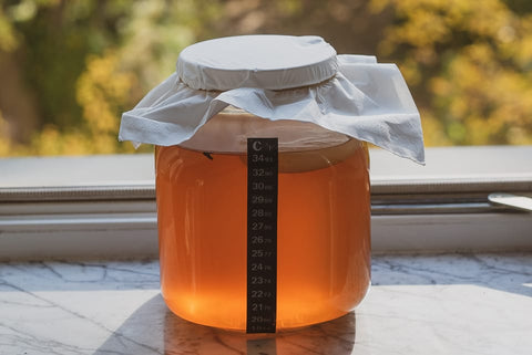 Jarre Kombucha