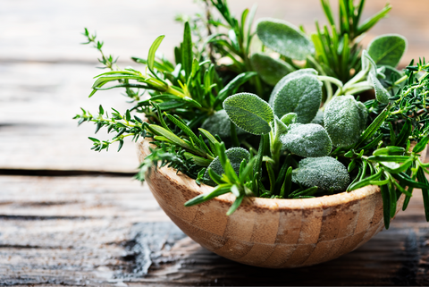 Bouquet d'herbes antibactériennes