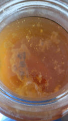 Scoby taches noires en bonne santé