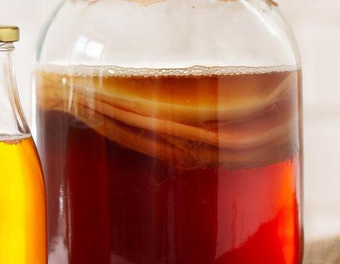 Scoby + levures