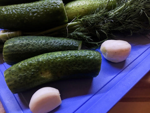 Cornichon recettes