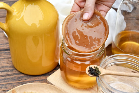 Souche de Kombucha