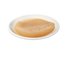 Scoby de Kombucha