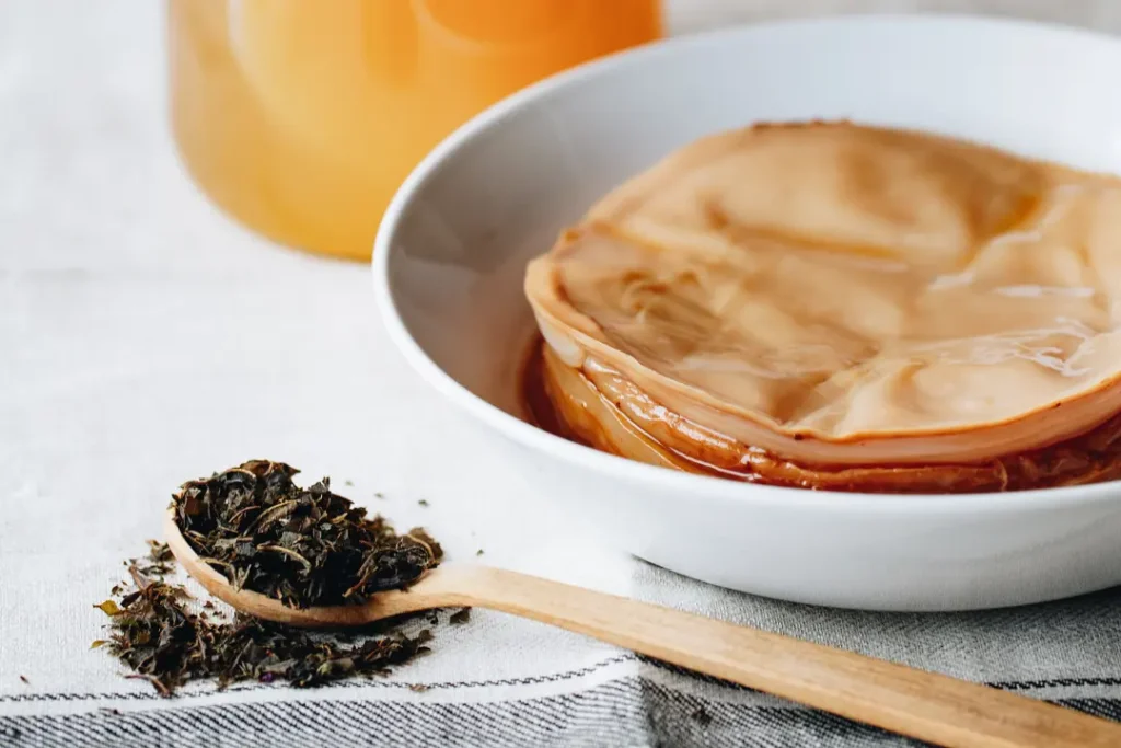 Scoby de Kombucha et du thé noire