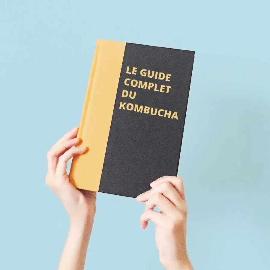 Vers nos guides pratique, kombucha, jun et lacto fermentation