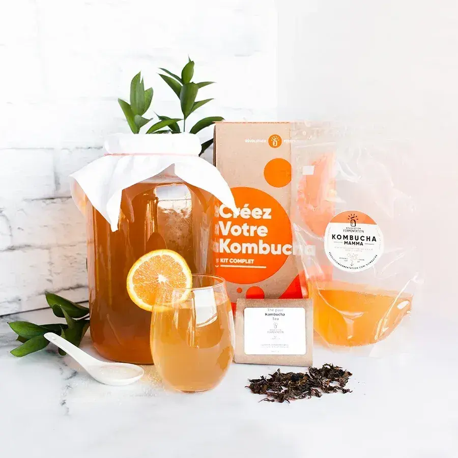 Kit kombucha complet pour bien debuter