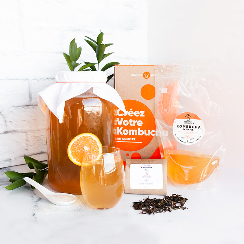 Kit à Kombucha maison, Révolution Fermentation