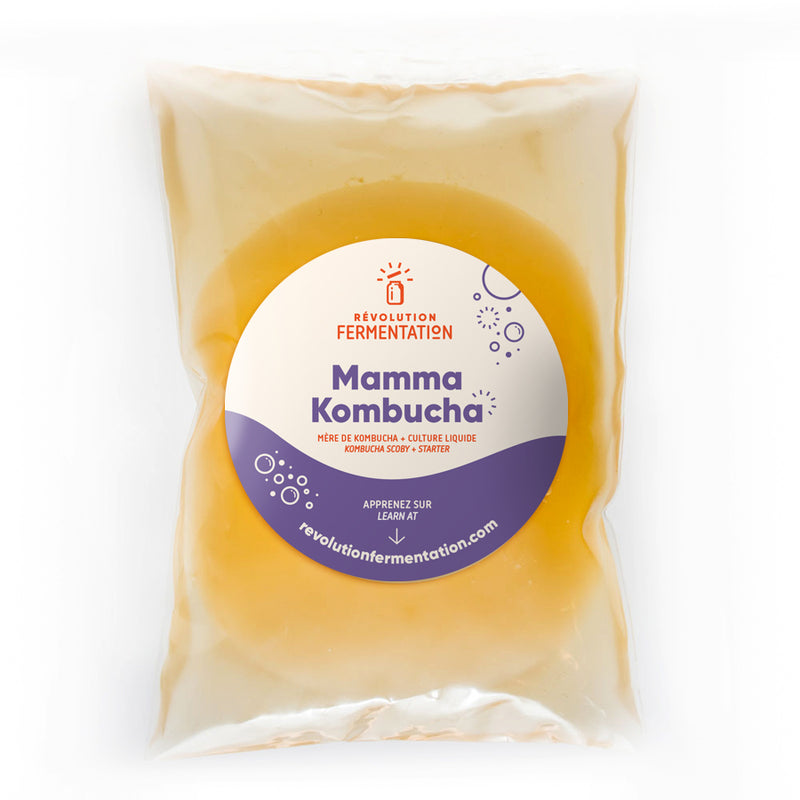 Mère de Kombucha bio, Révolution Fermentation