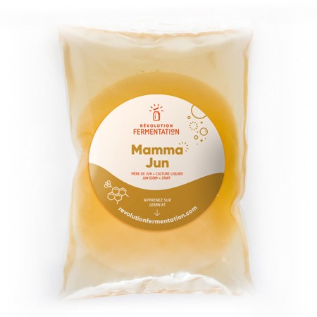 SCOBY Mamma Jun, Révolution Fermentation