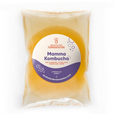 SCOBY bio de Kombucha, Révolution Fermentation